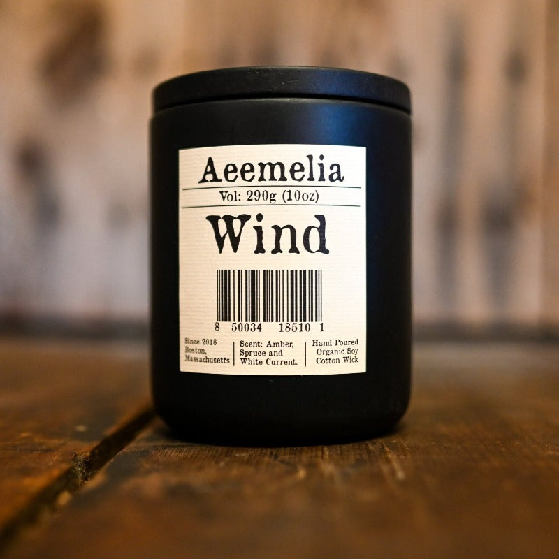 Aeemelia Concrete Candles - Terma Goods
