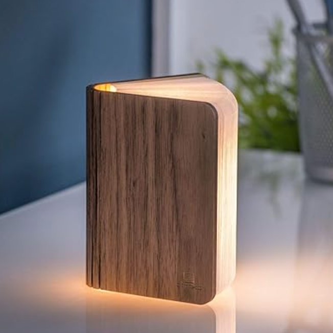 Gingko Design Small Smart Book Light