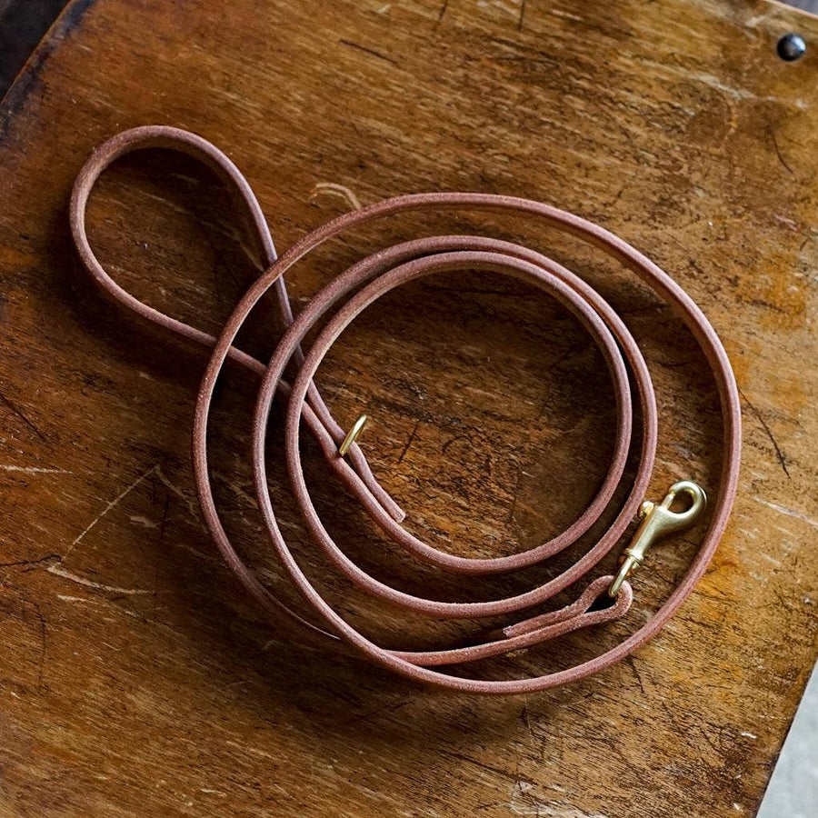 Odin Harness Leather Dog Leash