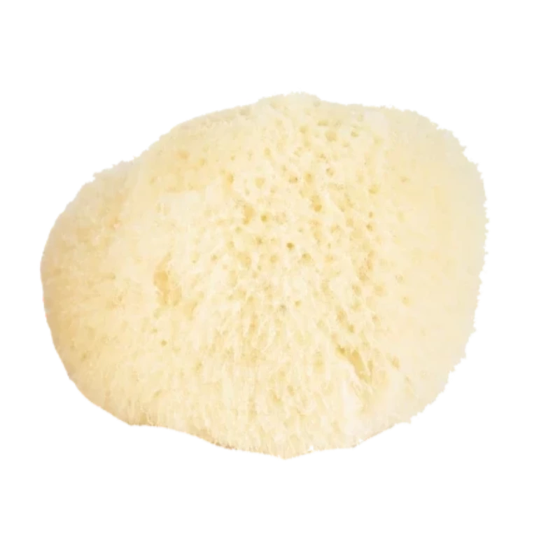 baudelaire natural sea sponges