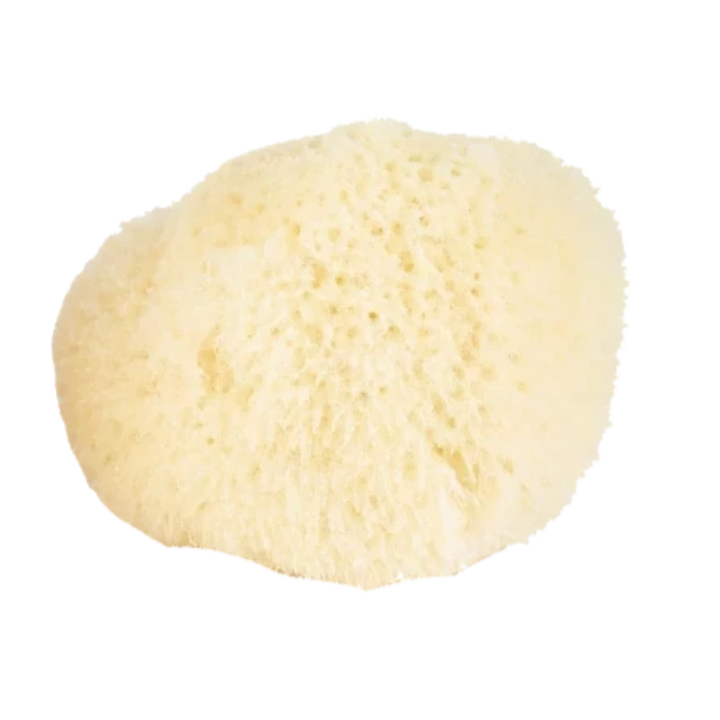 baudelaire natural sea sponges
