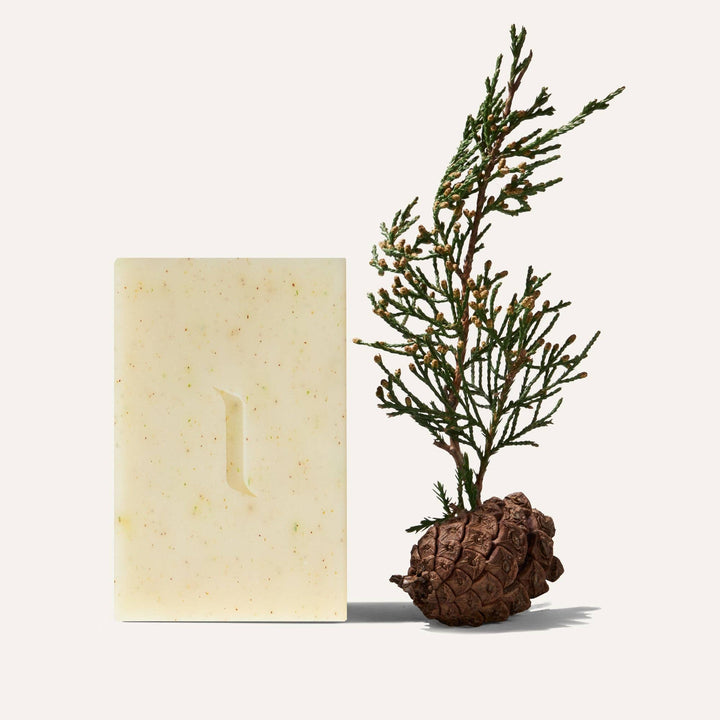 Caswell-Massey - Patchouli and Pine Natural Bar Soap, Plant-Based, 6.4oz