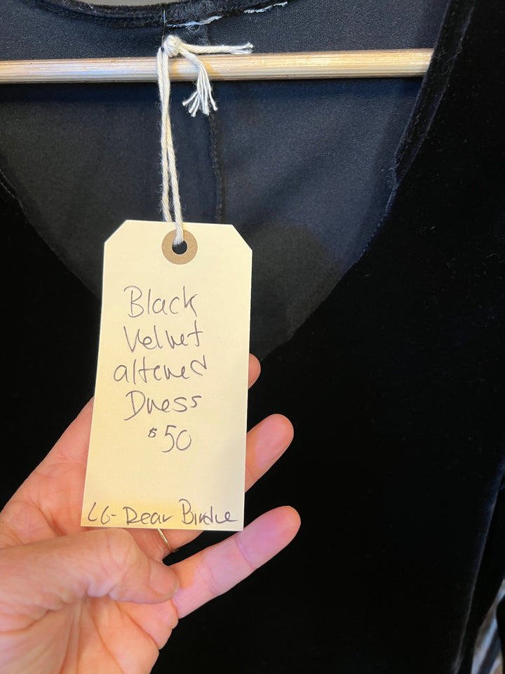 Dear Birdie Dress Medium/Large Black velvet
