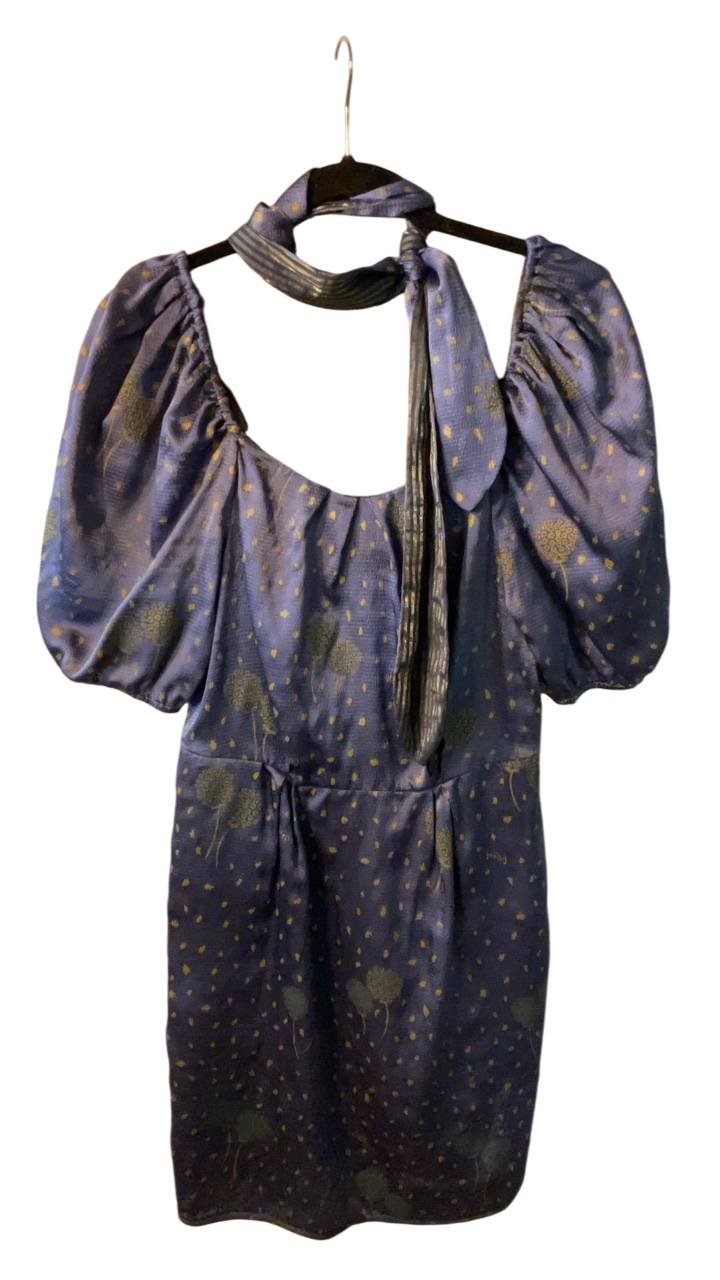 Sretsis Dress 8 Blue with gold accents