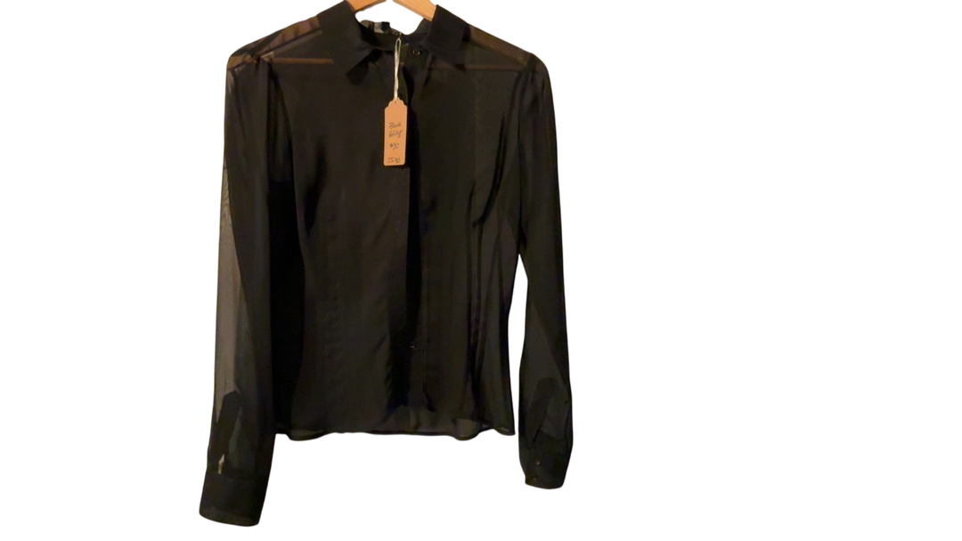 Lola Sheer Blouse 
