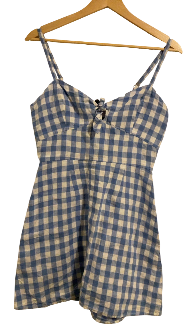 Reformation Dress 4 Blue and white checked