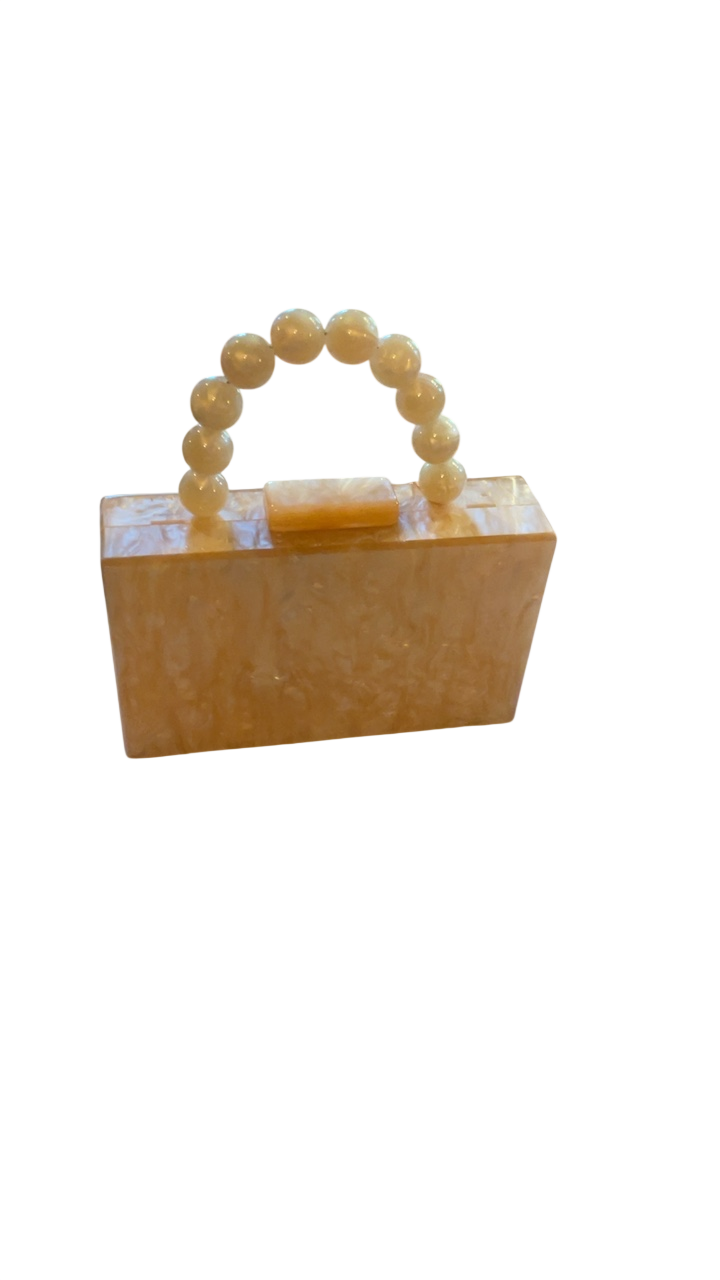 Lucite handbag 