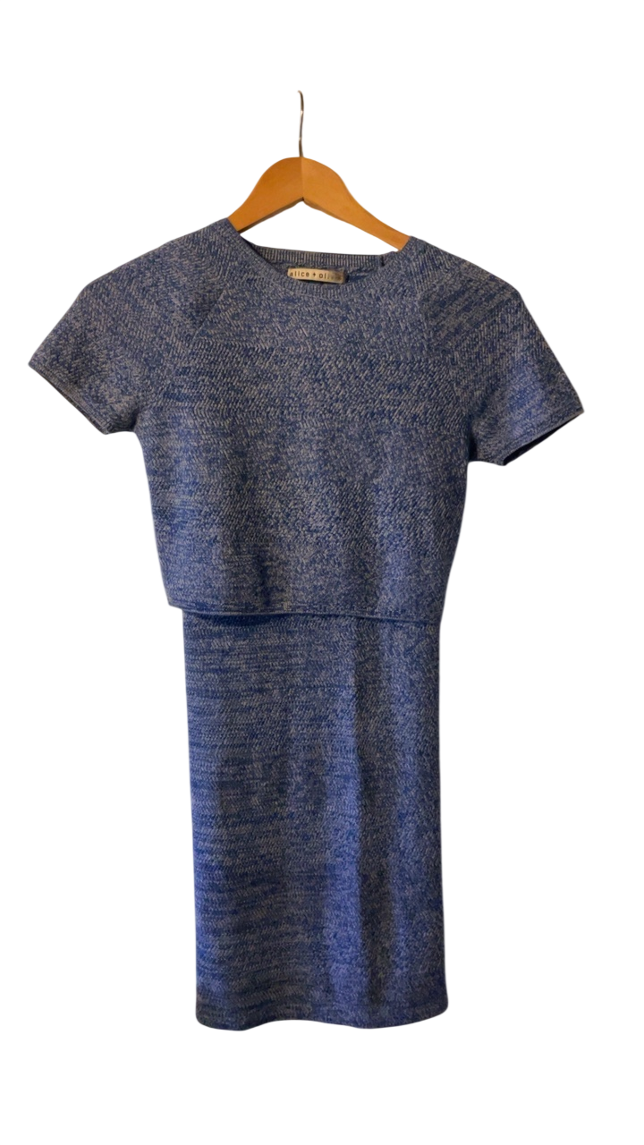 Alice + Olivia Skirt & Top Set XS Blue