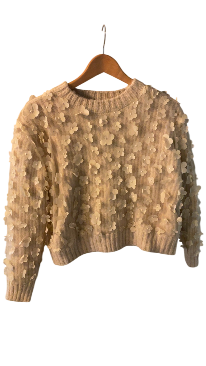 Zara Sweater Small Beige