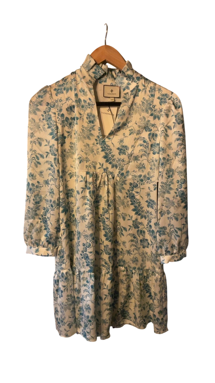Tuckernuck Dress XXS Beige with Blue floral pattern