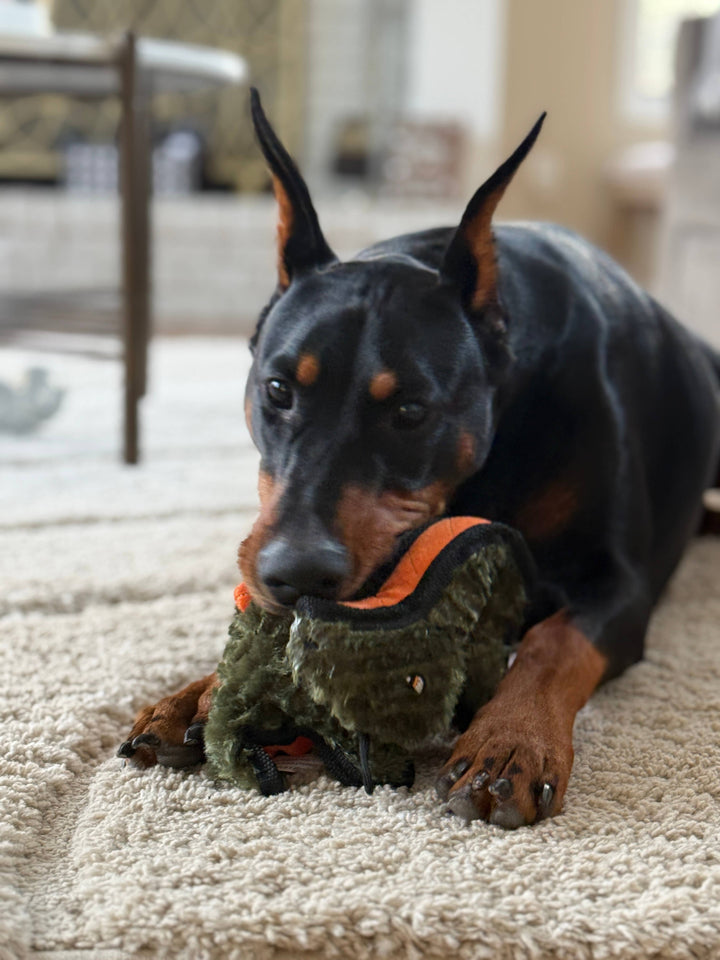 Lightning Dog - Rowdy Dino - Bronto 