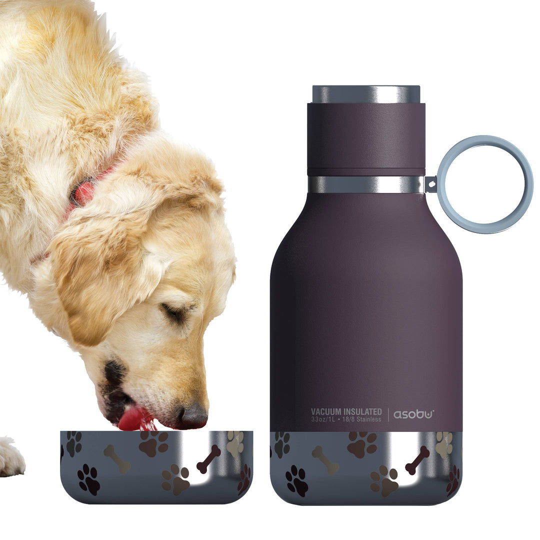 Asobu - Dog Bowl Water Bottle Insulated