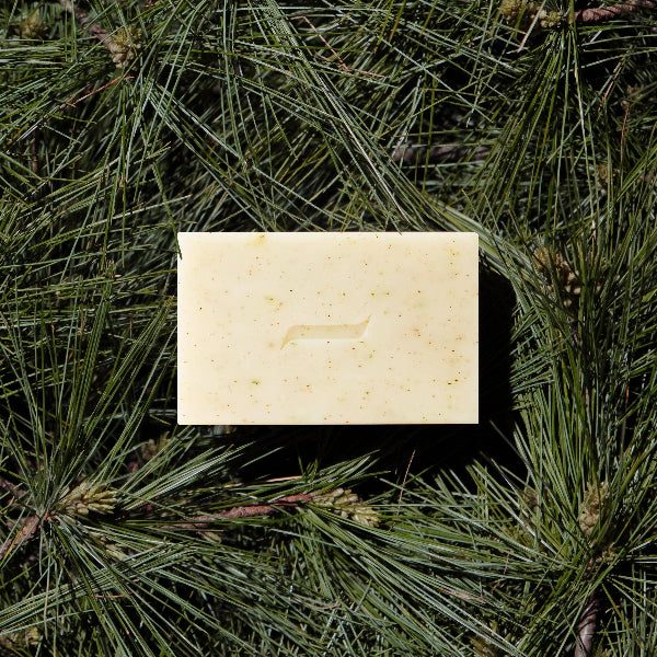 Bar of soap on a bed of pine needles