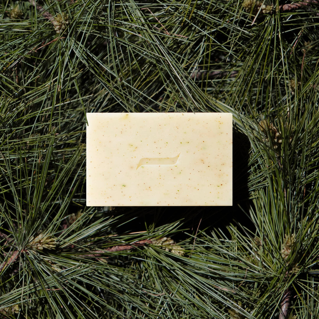 Caswell-Massey - Patchouli and Pine Natural Bar Soap, Plant-Based, 6.4oz