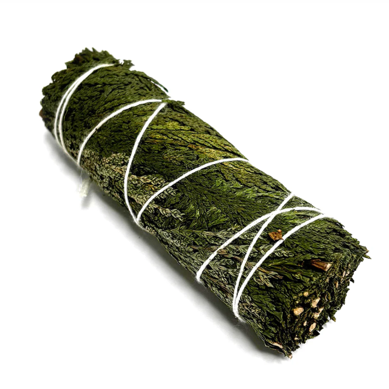 Herb & Earth Cedar Bundle