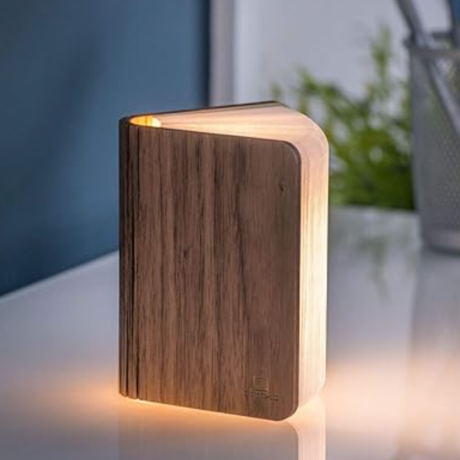 Gingko Design Small Leather Smart Book Light