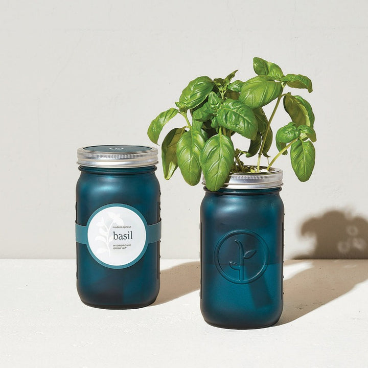 Modern Sprout Garden Jars - Indoor Herb Growing Kits - Basil