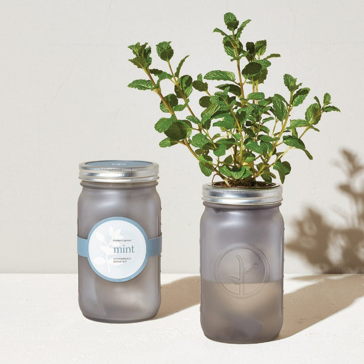 Modern Sprout Garden Jars - Indoor Herb Growing Kits - Mint