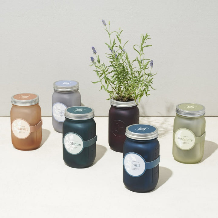 Modern Sprout Garden Jars - Indoor Herb Growing Kits