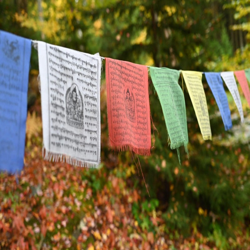 Prayer Flags - the five clouds