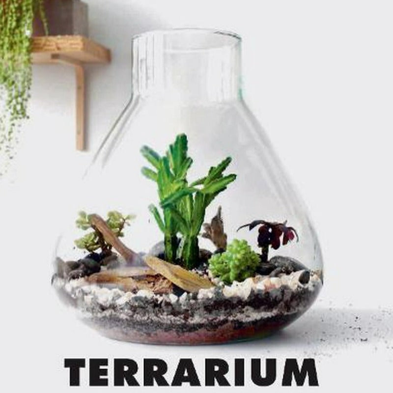 "Terrarium: 33 Glass Gardens to Make Your Own" by Anna Bauer and Noam Levy